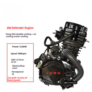 Moteur de moto [Machine de haute qualité spécifique Jiangsu] Moteur de trike Hanwei 250 refroidi par liquide Moteur Zongshen - Product Image 1