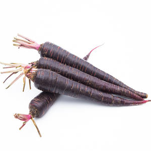 Poudre de jus de carotte violette 100% naturelle à base <span class=keywords><strong>d</strong></span>'extraits de plantes, en vente - Product Image 3