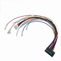 Arnés de cables personalizado de fábrica 2x10 2x6 Pin 2,54mm Conector de paso Puente de altavoz de coche Cable de montaje de arnés de cableado