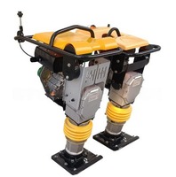 Compacteurs vibrants électriques et marteaux vibrants pour chantier de petite taille, à moteur, haute efficacité, 220V