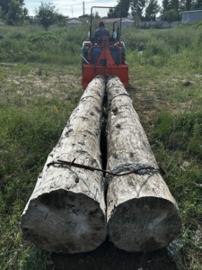 Équipement durable de débardage de bois pour tracteur avec prise de force (PTO), treuil forestier pour le transport de bois avec câble métallique de 70 m, <span class=keywords><strong>remorque</strong></span> à bois pour bois de chauffage, déchiqueteuse de bois 1 - Product Image 6