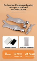 Outil de massage facial Gua Sha multifonctionnel en alliage de zinc transparent, en forme de poisson 3D, pour la maison