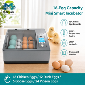Incubateur d'œufs numérique entièrement automatique, double alimentation, écran LCD, retourneur d'œufs automatique, lampe <span class=keywords><strong>de</strong></span> visualisation des œufs pour poulets/canards/oiseaux/pigeons - Product Image 1
