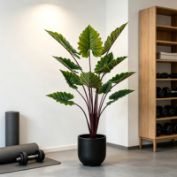Plante Artificielle en Gros, Taro Arc-en-ciel Alocasia, Plastique Écologique, Toucher Réel, Plante Tropicale Bonsaï pour Intérieur Maison, Hôtel, Villa