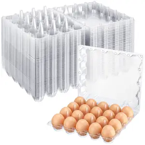 20 셀 계란 트레이 카톤 치킨 계란 포장 상자 트레이 안전하게 투명 계란 수집 트레이