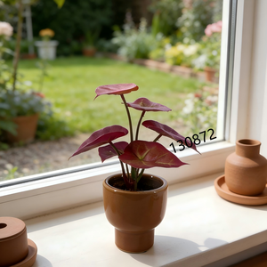 <span class=keywords><strong>ต้น</strong></span>คาลเลเดียม<span class=keywords><strong>สี</strong></span><span class=keywords><strong>แดง</strong></span>เข้มประดิษฐ์ในกระถางเซรามิก<span class=keywords><strong>สี</strong></span>อำพัน <span class=keywords><strong>ต้น</strong></span>ไม้ปลอมดูแลง่ายสำหรับบ้านสไตล์โมเดิร์นกลางศตวรรษ - Product Image 3