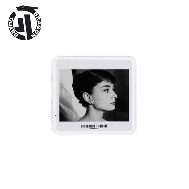 DRAGON GUARD 4.2 Inch Display Electronic Shelf Label Digital Price Tag ESL
