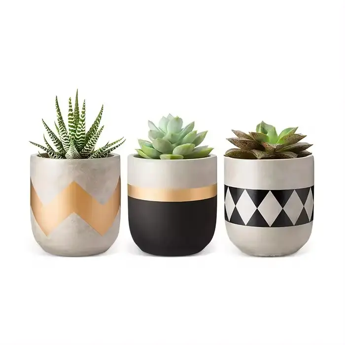 Modern Nordic Mini Concrete Succulent Potted Flowers Cement Cactus Plant Pot for Desktop