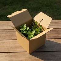 Boîte en papier kraft écologique recyclable personnalisée avec poignée, pliable, de qualité alimentaire, impression quadricolore, facile à transporter