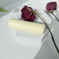 Tube correcteur en plastique beige personnalisable Conteneur de bâton de fond de teint vide Tube pivotant pour contour du corps