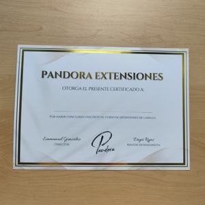 Carte de certificat d'authenticité personnalisée en papier de luxe de haute qualité 250gsm 300gsm 400gsm avec impression dorée A4 A5 - Product Image 3