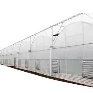 china the good quality High Quality Multi-Span Film Commercial Greenhouse with Shading System for Sale made in sunsgreenhouse suppliers
