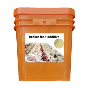 Improving Intestinal Flora Promoting Nutrient Absorption Feed Additives For Broiler Chickens