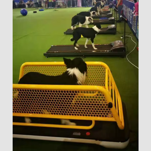 Cinta de correr de acero de moda para entrenamiento de perros, equipo de fitness para mascotas, para caminar y correr. - Product Image 3