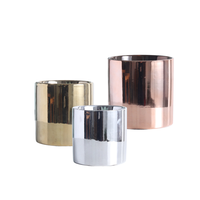 Pot de Fleurs en Céramique Design Personnalisé Doré, Ensemble Nordique Simple pour Plantes Vertes et Succulentes, Pot Rond en Céramique Hydroponique