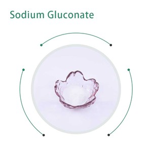 Gıda sınıfı katkı maddeleri tatlandırıcı sodyum glukonat tozu yiyecek ve içecek endüstrisi için - Product Image 2