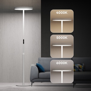 Kiến trúc sư Giải pháp chiếu sáng của bạn: Nhà máy sản xuất Đèn sàn OEM/ODM từ đầu đến cuối, từ khái niệm & dfm đến sản xuất hàng loạt và hậu cần - Product Image 3