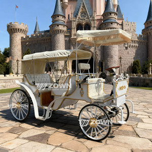 Calèche touristique rétro élégante, électrique ou à chevaux, calèche royale pour la visite des sites touristiques, à vendre - Product Image 4