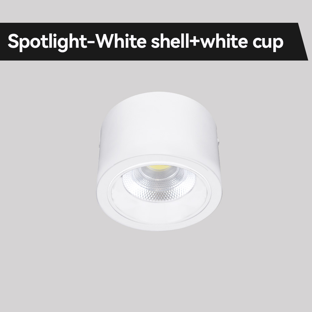 Spotlight White
