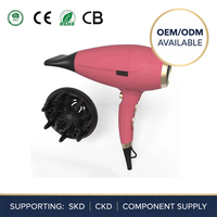 Sèche-cheveux professionnel NB WIDE 2400W à grande vitesse avec diffuseur, moteur AC, fonction ionique, pour usage domestique et commercial