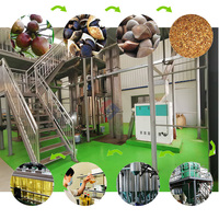 Mesin tekanan dingin minyak Kasturi garis produksi minyak wijen organik minyak kacang halus jalur produksi lengkap