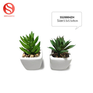 Personnaliser motif LOGO couleur rond <span class=keywords><strong>petit</strong></span> <span class=keywords><strong>pot</strong></span> <span class=keywords><strong>de</strong></span> <span class=keywords><strong>fleur</strong></span> <span class=keywords><strong>en</strong></span> <span class=keywords><strong>terre</strong></span> cuite avec plante succulente artificielle - Product Image 4