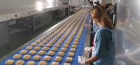 Machine à faire des gâteaux éponge WANLI de haute qualité, équipement de boulangerie industriel