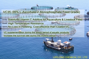 Fosfato de Vitamina C al 35% de Grado Alimenticio, Polvo de <span class=keywords><strong>L</strong></span>-Ascorbato-2-Fosfato para Alimento de Aves de Corral, Pollos y Patos - Product Image 4