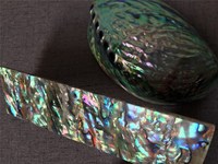 Vente en gros de coquilles d'ormeau naturelles pour bijoux coquilles d'ormeau coquilles d'ormeau en vrac