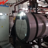 Chaudière à eau chaude horizontale à tubes de fumée à circulation naturelle basse pression électrique industrielle WOLFORD 1000 kg avec contrôle haute précision