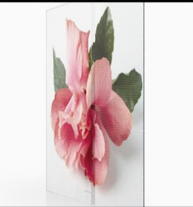 Pantalla LED Transparente Versátil para Múltiples Aplicaciones en Interiores - Product Image 2