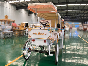 Carroza de Caballos de Lujo para Bodas y Paseos Turísticos, Carrozas de Caballos Eléctricas para Maratones en Venta, Carroza para Bodas - Product Image 4