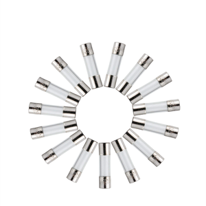 Andufuse Mini Glass <strong>Fuse</strong> 5x20mm Fast Acting Glass Material Axial <strong>Leaded</strong> <strong>Fuse</strong> 5A 10A 15A 20A for Power Strip Experiment - Product Image 6