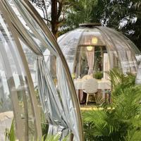 Salle en verre à toit incurvé en alliage d'aluminium transparente, design moderne, pour restaurant, gîte ou hôtel familial