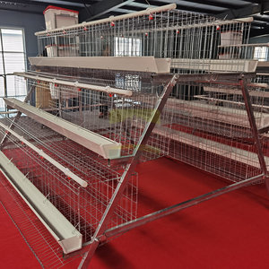 Sıcak Fırsat 3 Katlı 5 Kapılı A Tipi Katmanlı Tavuk Kafesi Sıcak Daldırma Galvanizli Tel Kümes Hayvanları Kafesleri Yumurtacı Tavuklar için Çiftlik - Product Image 5