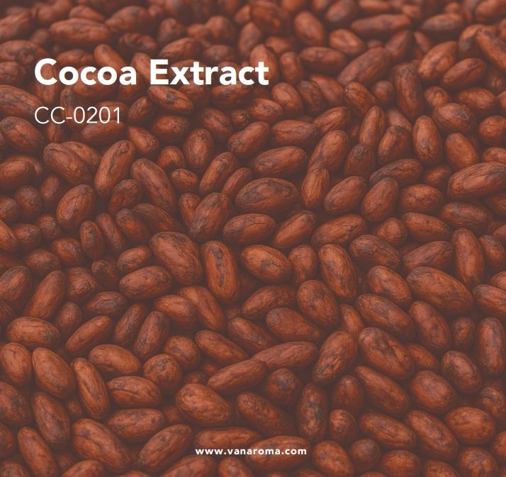 สีน้ำตาลเข้ม