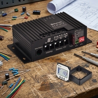 Contrôleur solaire MPPT 12V double batterie 12A 25A pour chargeur LiFePO4 GEL AGM au plomb-acide avec capteur de température et application Bluetooth