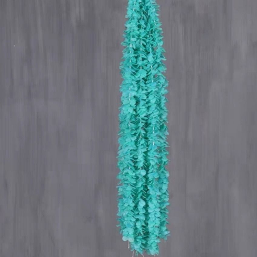 Menthe