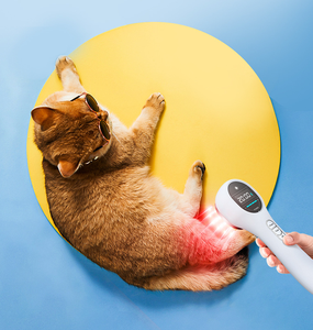 Perangkat Laser genggam portabel penghilang nyeri hewan peliharaan untuk nyeri lutut pengobatan Arthritis nyeri bahu untuk hewan peliharaan manusia terutama - Product Image 1