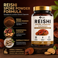 Capsules de champignons Reishi |   Extrait de poudre de spores de Ganoderma Lucidum, complément alimentaire |   Complément alimentaire à base de plantes naturelles |   Marque privée OEM