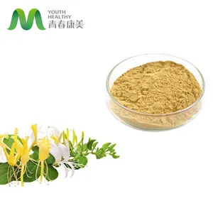 Hữu Cơ Honeysuckle Hoa Chiết Xuất Bột Chlorogenic Acid 5%