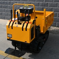 Mini Crawler Dumper 4x4 Truck Mini Track Dumper 500kg