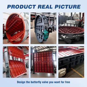 خدمة ملاط تجهيز الأغذية ، مصنع صلب مقاوم للصدأ ، مقاسات صلبة - Product Image 5