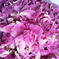 Pétales de fleurs de pivoines rouges séchées Sarah Bernhardt Paeonia Lactiflora chinoises neuves de 1kg à vendre