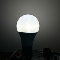 Ampoules LED à spectre complet 3/5/7/9/12W A19 E26 E27 B22 E14, mode jour/nuit, 3 réglages, anti-lumière bleue, pour chambre à coucher intérieure