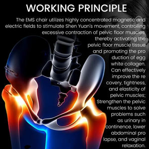 2025 üst satış non-invaziv pelvik sandalye güçlendirilmesi erkekler ve kadınlar kas onarım EMS sandalye kas çalıştırıcı - Product Image 3