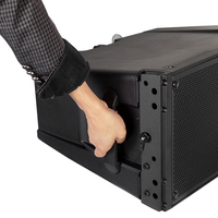 Enceinte Line Array Professionnelle Amplifiée avec Amplificateur DSP 700W, Boîtier PP pour Événements Extérieurs, Fêtes, Performances Live