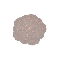 Ensemble de vente chaude napperon rond en rotin design creux napperon en silicone fiable