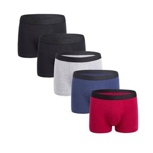 Men Underwear Cotton Shorts Men's Panties Shorts Home Underpants Men Underwear <b>Boxer</b> - Product Image 2