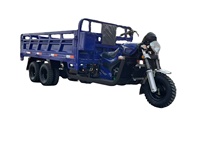 Nouveau tricycle agricole motorisé à benne basculante de 350 cm³ de haute qualité, refroidi par eau, capacité de charge de 3000 kg